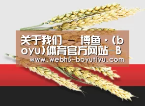 关于我们 - 博鱼·(boyu)体育官方网站-BOYU SPORTS